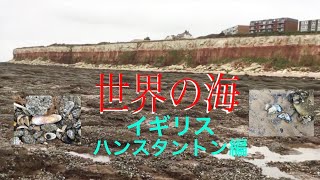 (イギリスの海岸シリーズ ep1)冬のハンスタントン編　崖と波の街で貝拾い