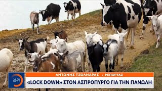 «Lock Down» στον Ασπρόπυργο για την πανώλη | OPEN TV