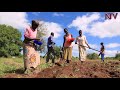 Tree Planting will save forests near refugee settlements from extinction - FAO