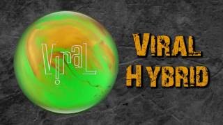 Hammer | Viral Hybrid