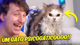 The DUMBEST Animals in the WORLD!
