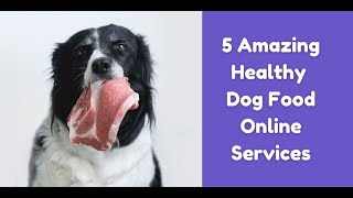 5 Amazing Healthy Dog Food Online Services | The Best Fresh Dog Food Delivery Services You Want!