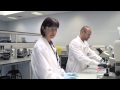 Barts Cancer Institute Virtual Lab Tour Part 4: New Treatment for Pancreatic Cancer