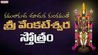 శ్రీ వెంకటేశ్వర స్తోత్రం  -  Popular Sri Venkateswara Stothram With Telugu Lyrical Video || Mallvika