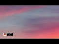 D.Polo - Only One