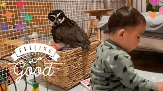 フクロウとおやすみ前のひととき A moment before bedtime②