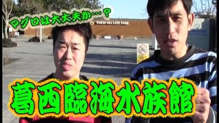 コンマニセンチの今日も全力！６５３　葛西臨海水族館　Dookie comedian Commanicenti!