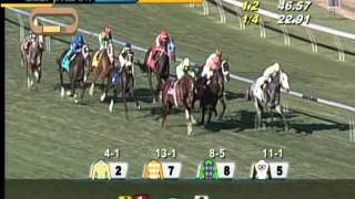 Gulfstream Park Race 8 / January 28, 2015