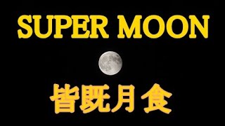 【24年ぶり】スーパームーン皆既月食 SUPER MOON