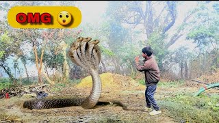 The anaconda snake 🐍 attack in village boy | bhola ka mast video