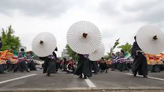 静岡大学よさこいサークルお茶ノ子祭々　第18回犬山踊芸祭 2022年6月5日