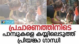 പ്രചാരണത്തിനിടെ പാമ്പുകളെ കയ്യിലെടുത്ത് പ്രിയങ്കാ ഗാന്ധി