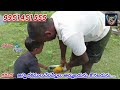 garuda fish fishing fishfarming చేపపిల్లలు అమ్మబడును కొనబడును viralvideo 995141555