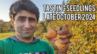 Keepers Nursery, apple breeding seedling trial tasting video. new varieties, October 2024.