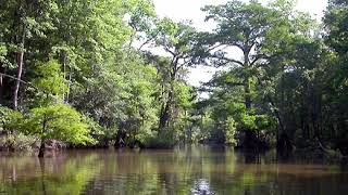 Mobile–Tensaw River Delta | Wikipedia audio article