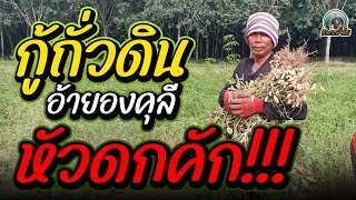 กูถั่วดินอ้ายองคุลีหัวดกคัก#ถั่ว #เกษตรอีสานยุคใหม่ #เกษตรยุคใหม่  #เกษตรกร #ถั่วลิสง