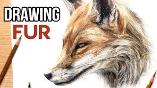 How to Draw Realistic Fur with Coloured Pencils | Drawing Tutorial