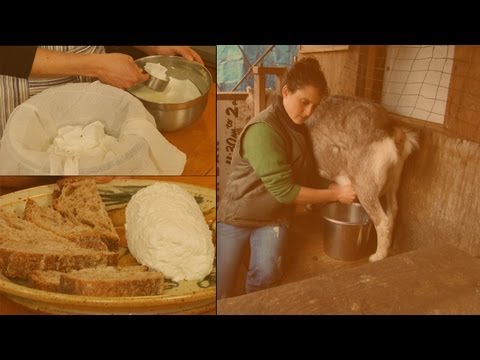 How to Make Soft Goat's Milk Cheese: Chèvre How to Make Soft Goat's Milk Cheese: Chèvre