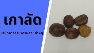 ประโยชน์ของเกาลัด | Chestnut | กินผักเป็นยา