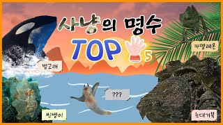 특별한 기술을 가진😲 동물계 사냥의 명수😎 TOP5 [KBS대/세/남 With Animals] / KBS 방송