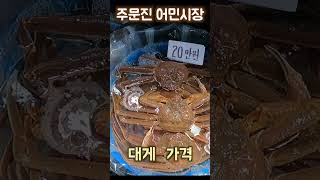 주문진 수산시장 (풍물시장) FT. 대게 가격