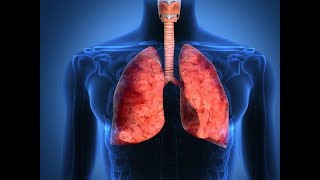 How to Keep Lungs Healthy Naturally | ফুসফুসের সুরক্ষা কিভাবে নিশ্চিত করবেন!!