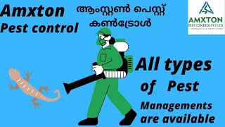 Pest Control | Amxton Pest Control#pestmanagement