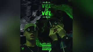 Liaze feat. Dane - „Viel zu Viel“ (Official Audio)