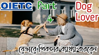 Dog Lover picture |Oietc common Picture describe| ছবি ব্যাখ্যা |oietc new update picture explanation