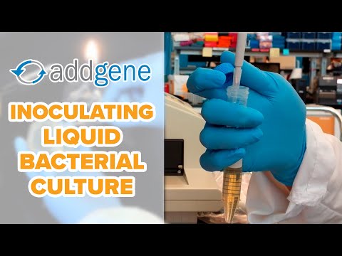What is liquid culture media?