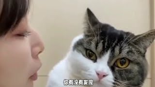 为什么猫咪喜欢踩奶？