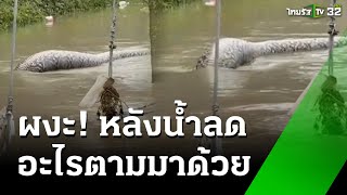 ผงะ! สำรวจบรรยากาศหลังน้ำลด เจอซากงูอืดหัวติดท่อ | 2 ธ.ค. 67 | ข่าวเที่ยงไทยรัฐ