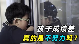 孩子学习差，真的是不努力吗？老妈辅导作业原地爆炸，求助专家结果太意外