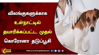 விலங்குகளுக்காக உள்நாட்டில் தயாரிக்கப்பட்ட முதல் கொரோனா தடுப்பூசி மத்திய அரசு அறிமுகம் செய்துள்ளது.