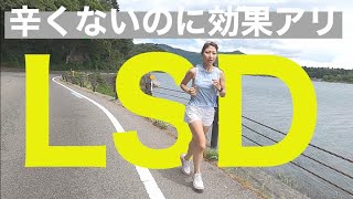 【LSD練習】長く走れる身体作り！ホカクリフトンエッジで走る！