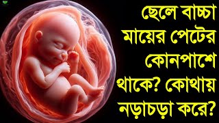 ছেলে বাচ্চা পেটে থাকলে গর্ভবতীর পেটে কেমন ব্যথা হয়? || ছেলে বাচ্চা মায়ের পেটের কোনপাশে নড়াচড়া করে?