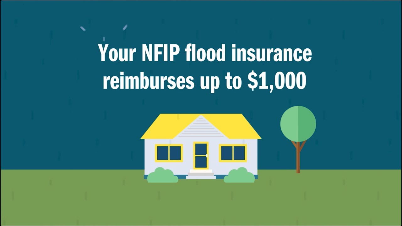 Flood Loss Avoidance Coverage From The National Flood Insurance Program ...