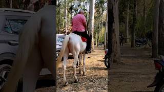 At Gulawat Lotus Valley - 4 Near Indore Beautiful Scenic Romantic Site Riding A Horse #travel#shorts