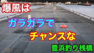 爆風はガラガラでチャンスな豊浜釣り桟橋 知多半島