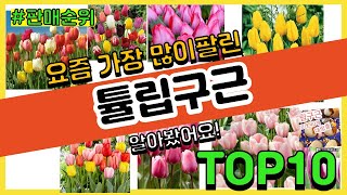 튤립구근 추천 판매순위 Top10 || 가격 평점 후기 비교0 튤립구근 동영상