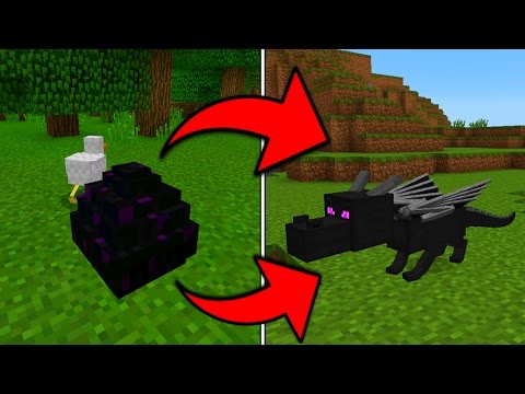 How To Hatch the Ender Dragon Egg in Minecraft Pocket Edition (1.0+) How To Hatch the Ender Dragon Egg in Minecraft Pocket Edition (1.0+)