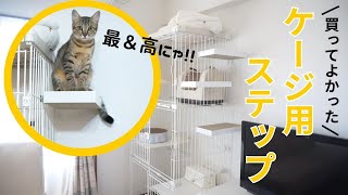 猫様用！ケージ用ステップが超おすすめ！【3段ケージに付けてキャットタワー代わりにしてみました。】