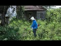 Journey to Clean up an Abandoned House: Cleaning Every Corner Together Cleaning & Mowing / Clean up