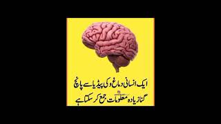 memory of human brain #information #information_facts #shoking_knowladge #knowledge #mountofinform