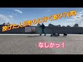 おもしろ動画！フレンチブルドッグと遊ぶ♪投げた人が取りに行く遊びなの？ 笑 【癒しのペチャ軍団】