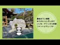 京都ぷらり旅／安井金比羅宮 編