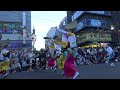 【南越谷阿波踊り2023】awaodori（2）★越谷市役所いきいき連★（地元連）南越谷中央通り　＃阿波踊り