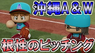 【パワプロ】ファンケルグランドールvs沖縄A\u0026Wパイレーツ【観戦試合】