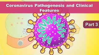 Coronavirus symptoms - How coronavirus kills (COVID 19 Pathogenesis) - ACE2 - Coronavirus part 3