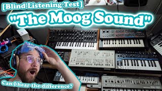 Is "The Moog Sound" real? // Blind Listening Test